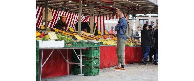 Bild_Loesungen_Prothetik_Markt