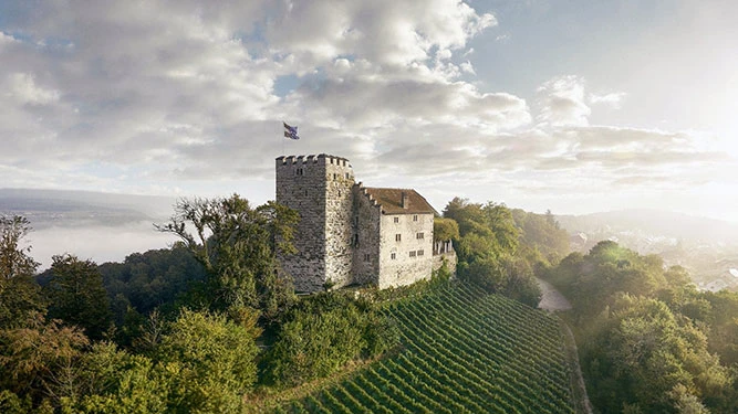 Landschaft Aarau mit Burg und Weinreben