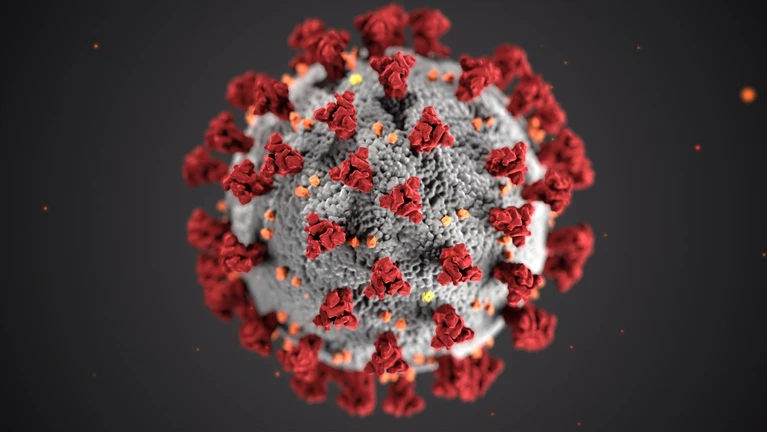 Corona Virus ORTHO-TEAM.jpg