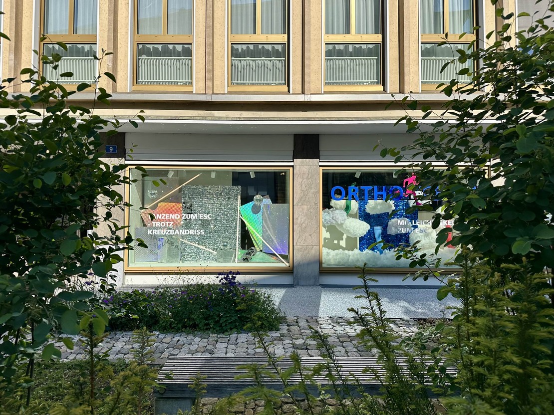 Eurovision Song Contest Schaufenster