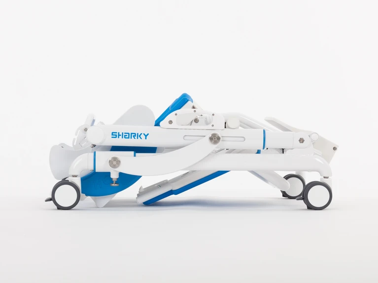 Hoggi Sharky (2)-min.jpg
