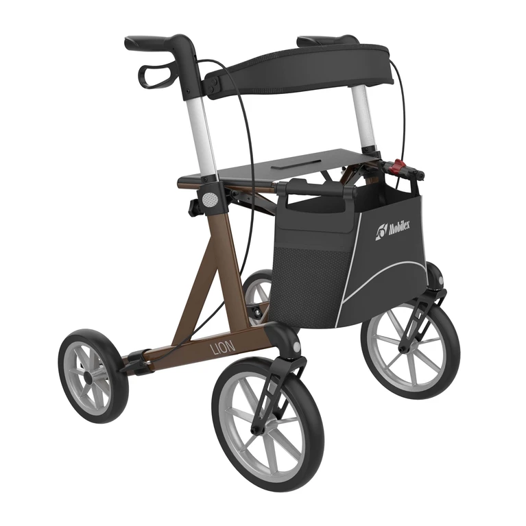 lion-brown-front_right_mobilex.jpg__2000x4000_q85_subsampling-2