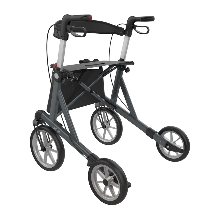 lion-sober_grey-back_left_mobilex.jpg__2000x4000_q85_subsampling-2