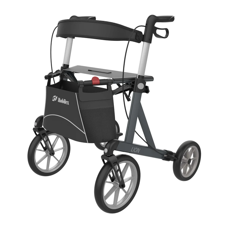 lion-sober_grey-front_left_mobilex.jpg__2000x4000_q85_subsampling-2