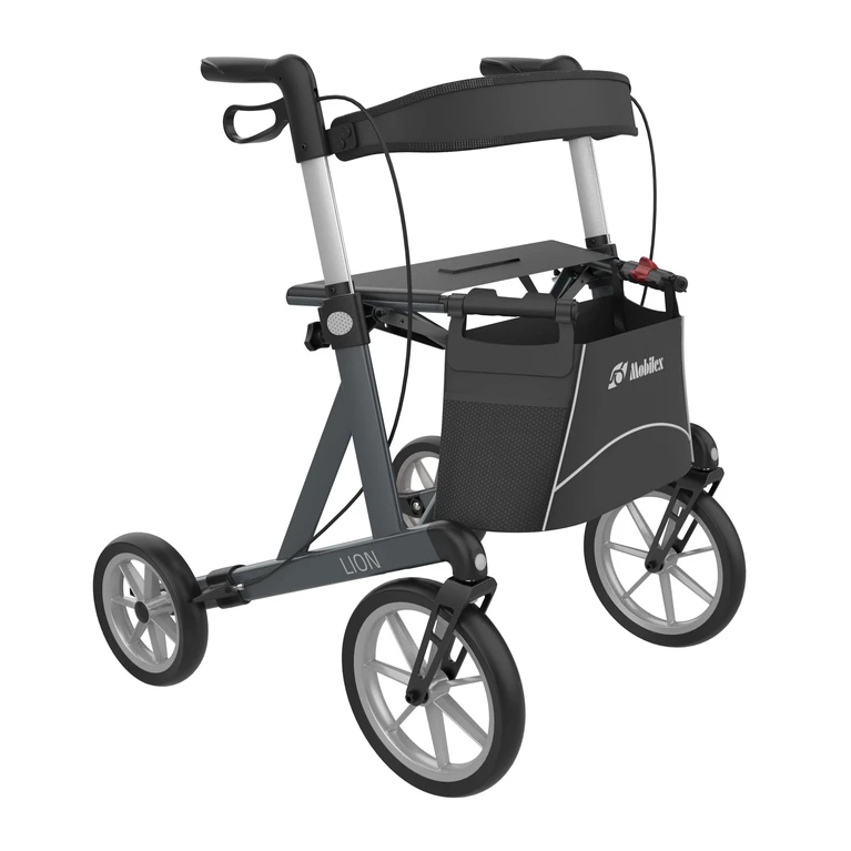 lion-sober_grey-front_right_mobilex.jpg__2000x4000_q85_subsampling-2