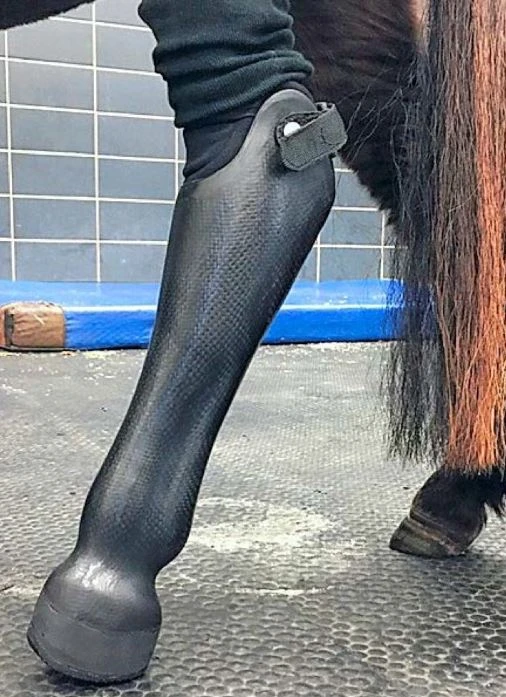 Pony Prothese.JPG