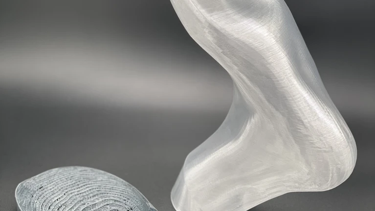 Probeschuhe 3D.jpg