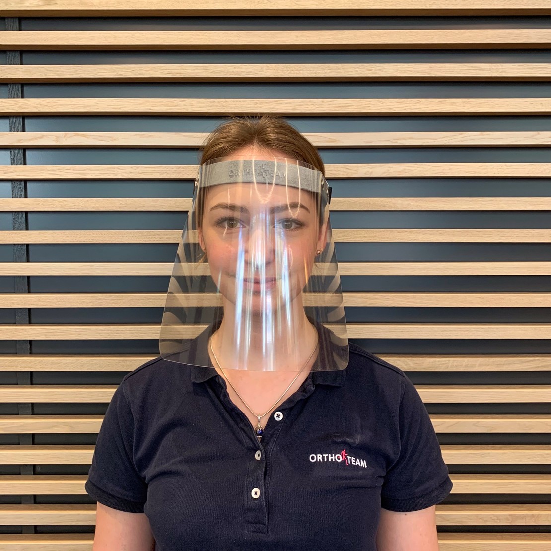 Das Schutzvisier 3D
